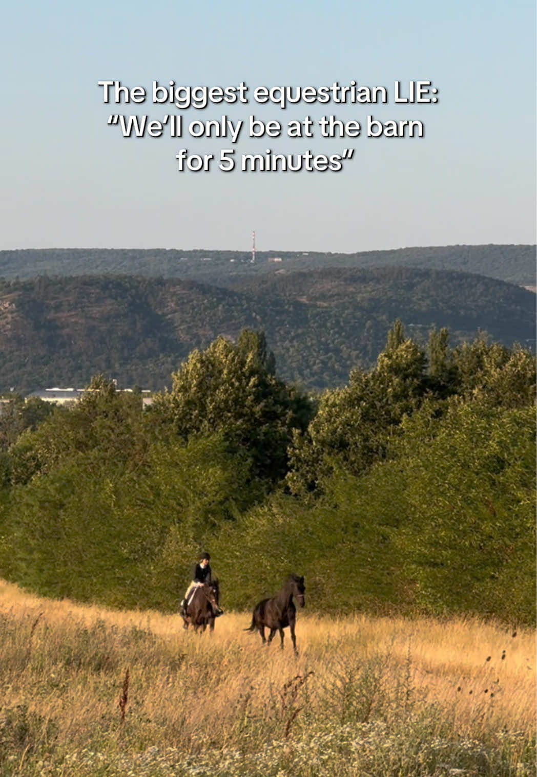@Free Ride Equestrian