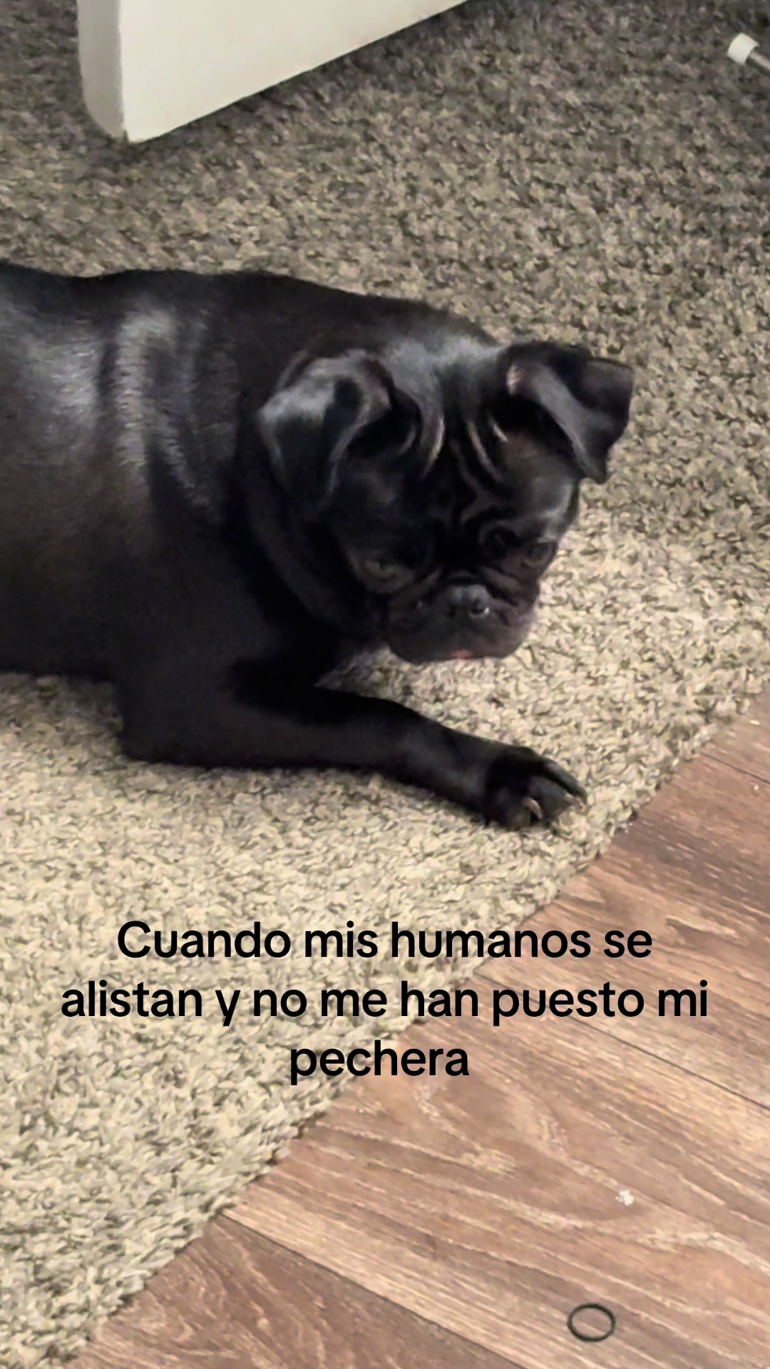 @Esmeralda💕