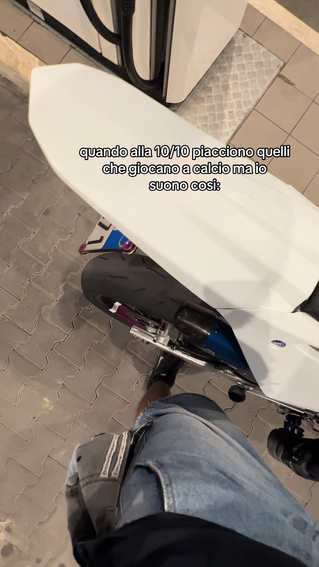 @__sacco_