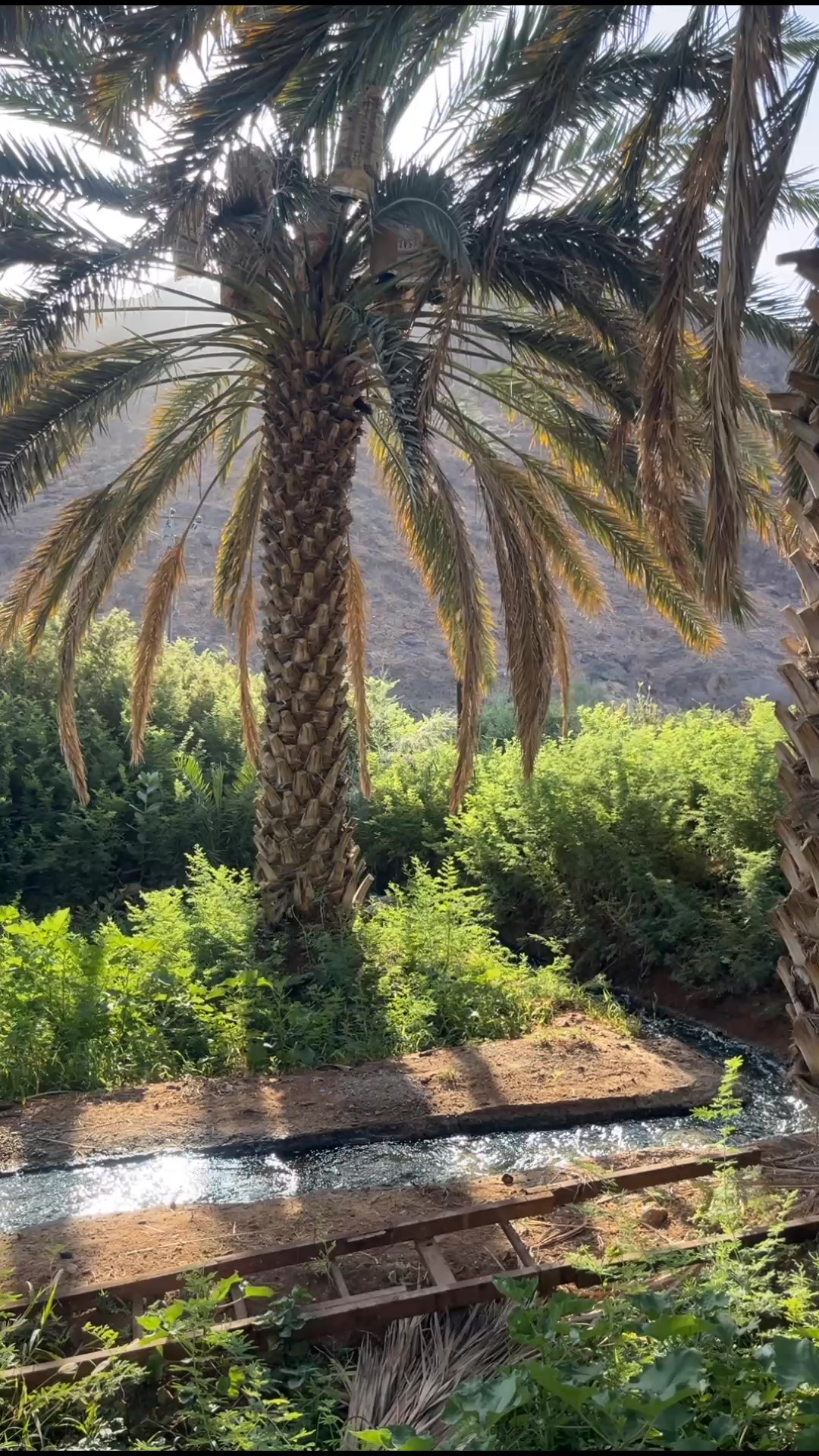 @فيصل الحربي📸📲.