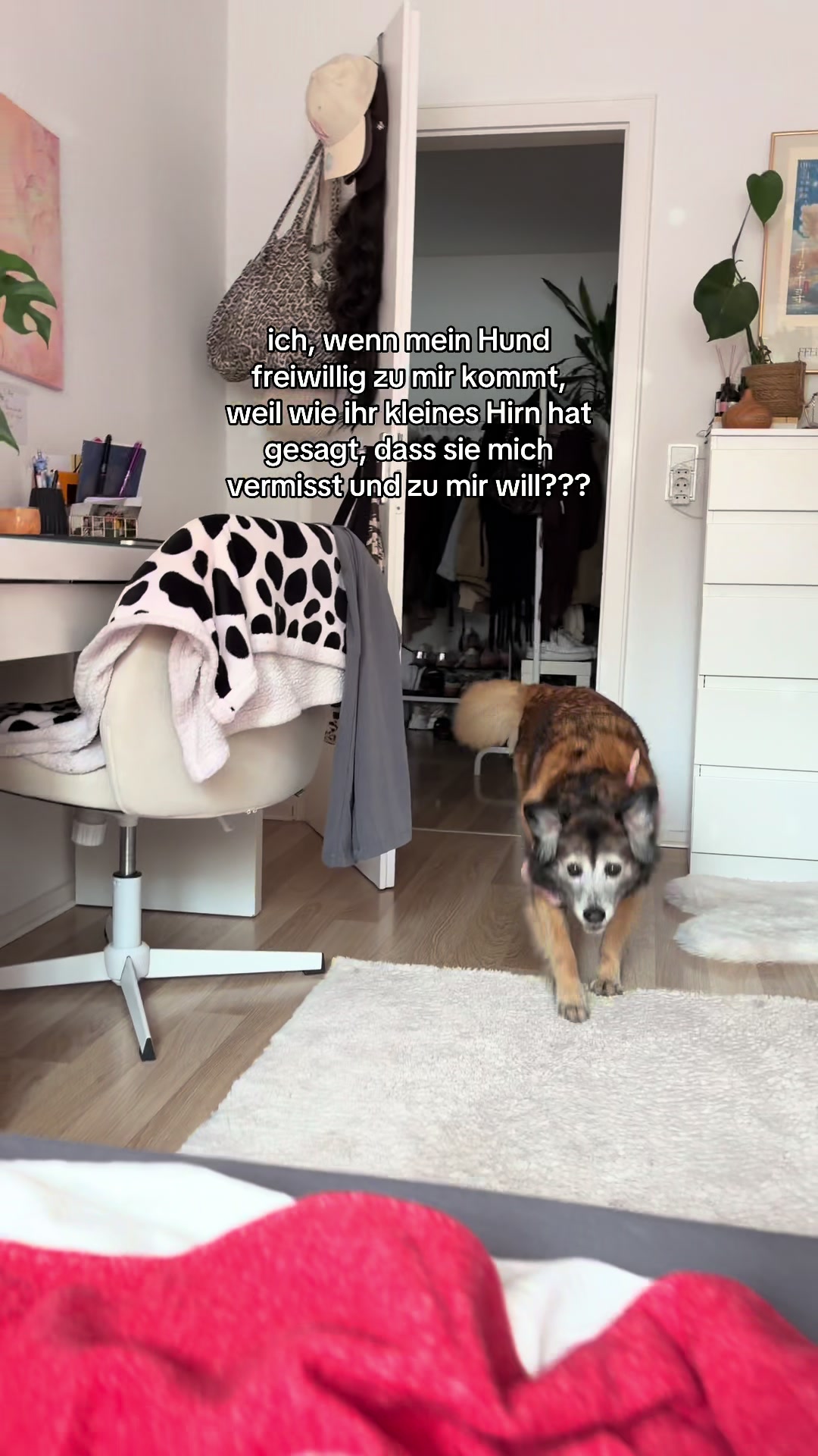 @celinihi