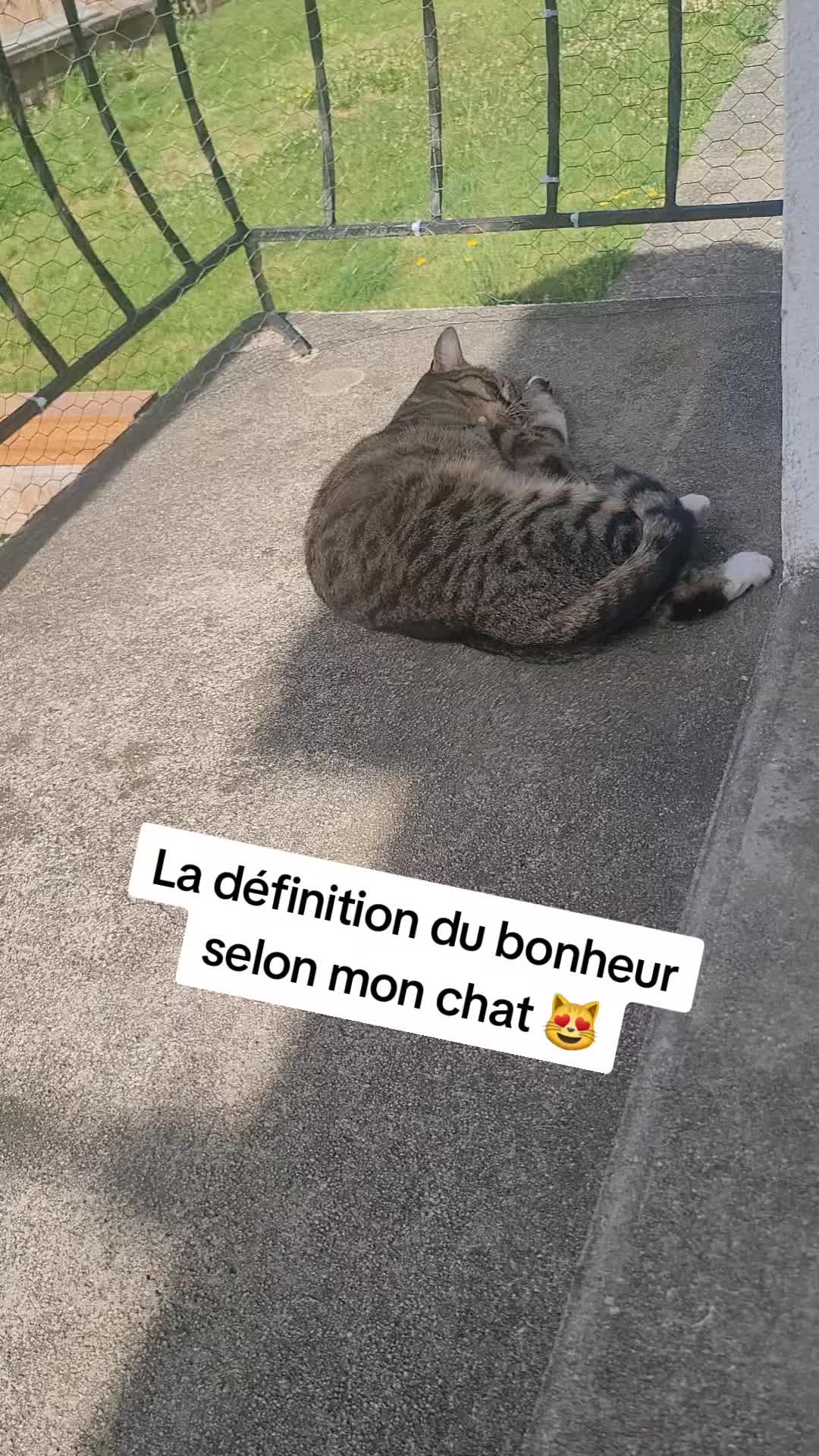 @Brunix