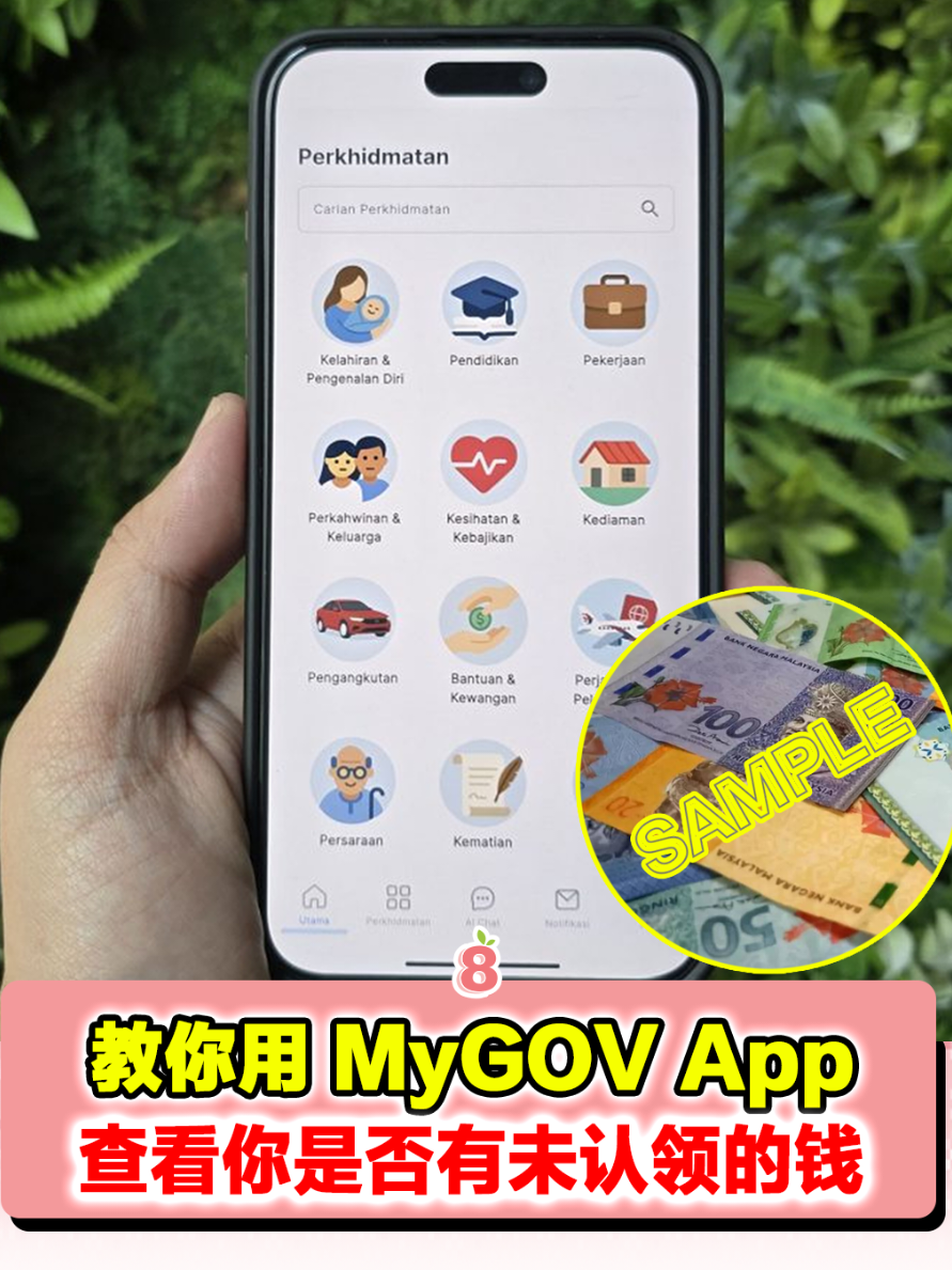 @8guava_tiktok