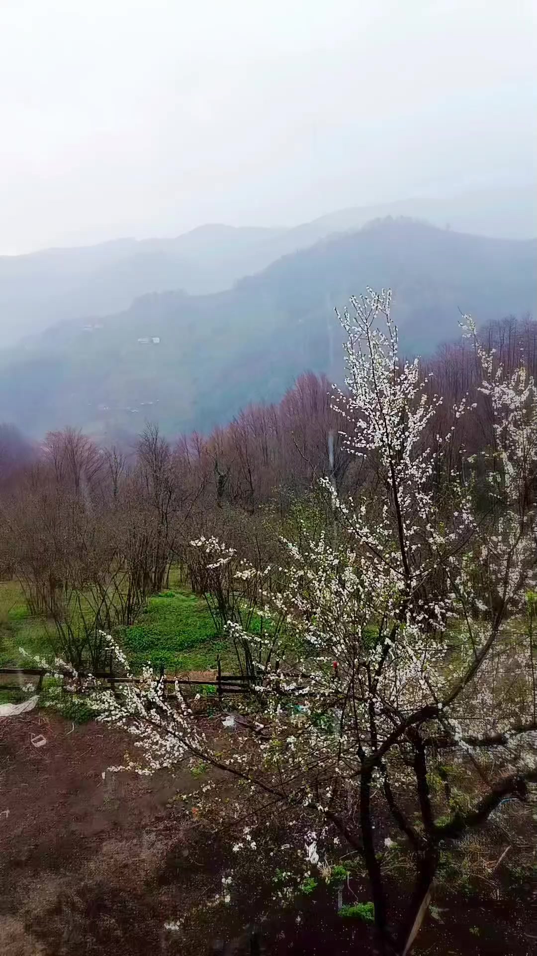 @Funda Köse