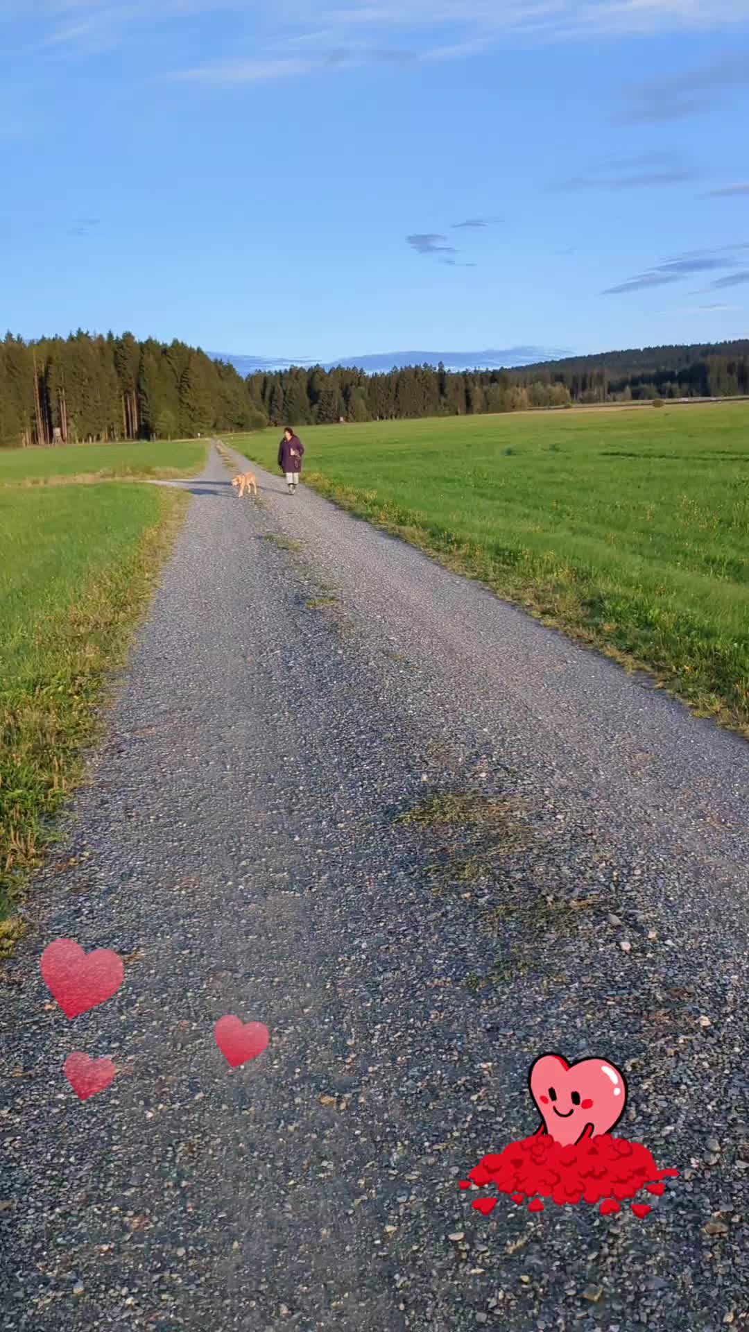 @Famy_rudel_chefin