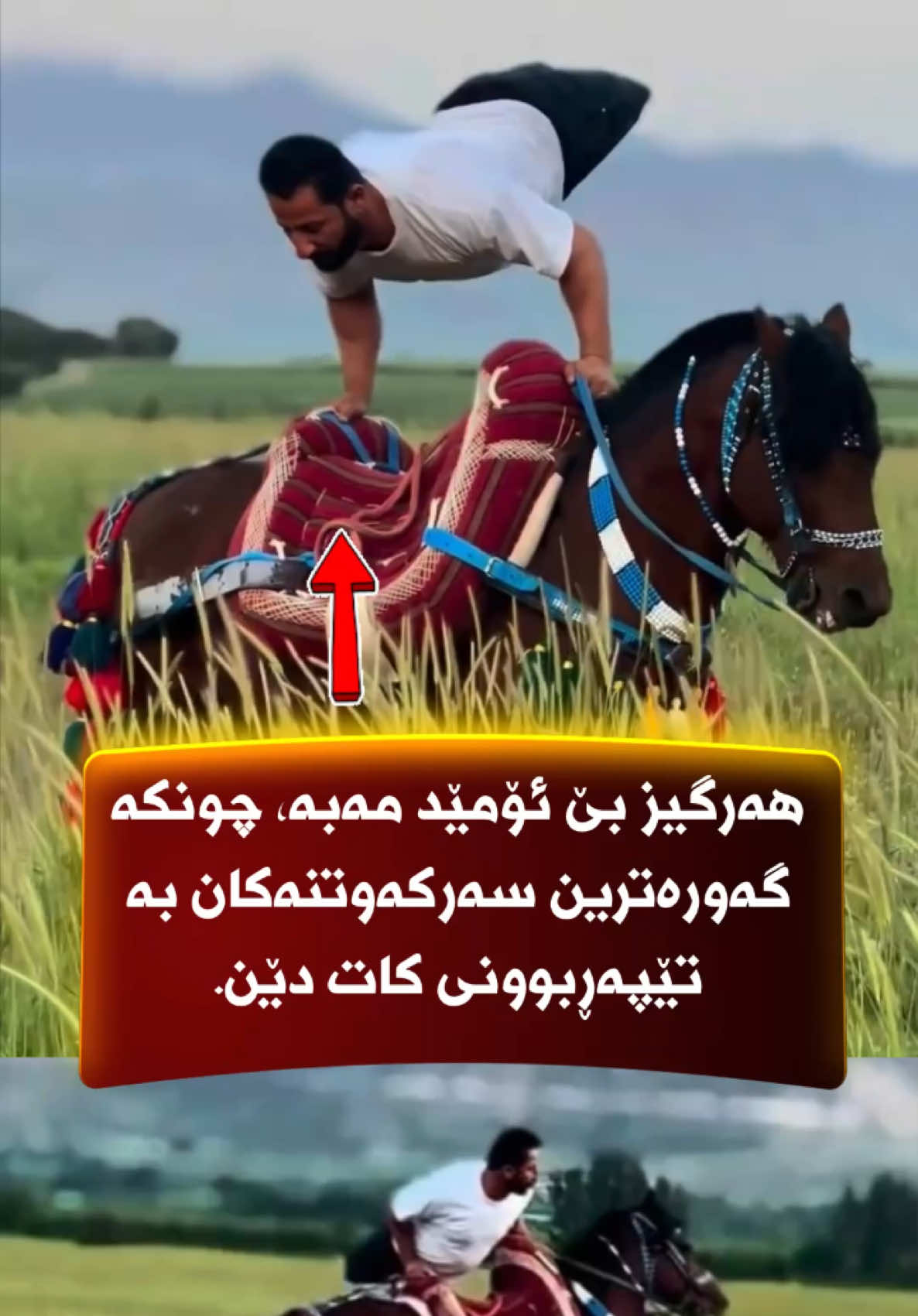 @🎤📺 𓆩جیگر هەركی𓆪 Journalist
