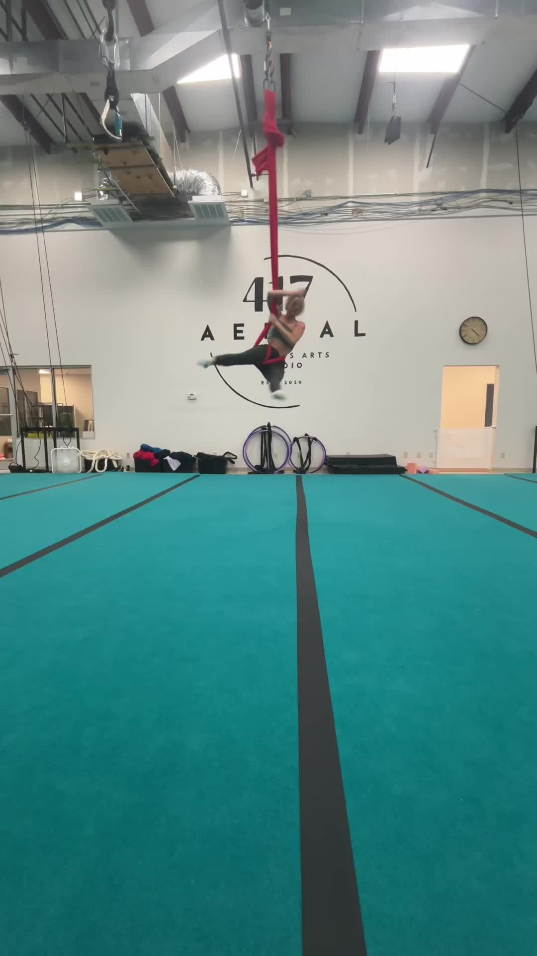 @AerialDeidra