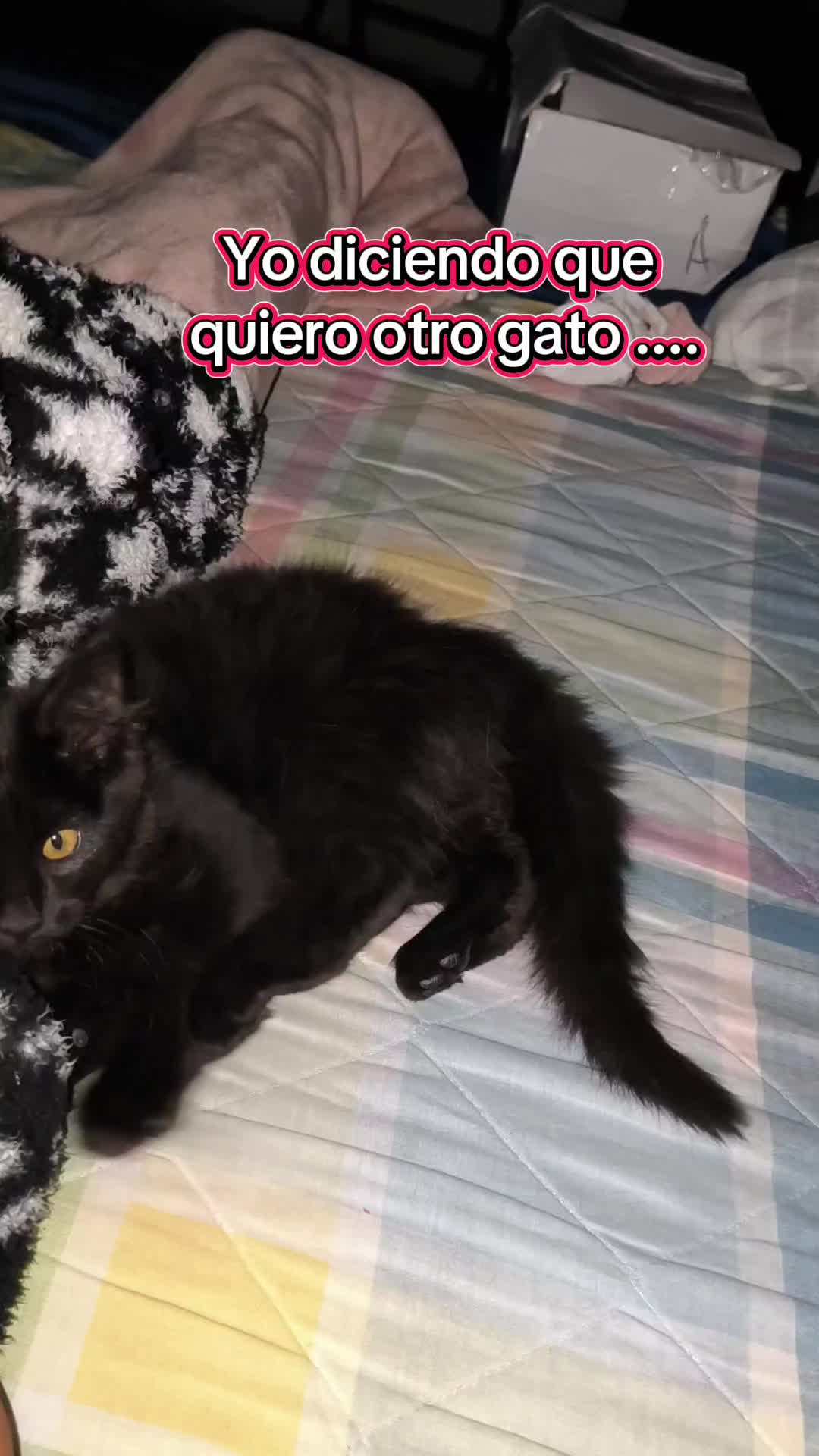 @Alemont miku