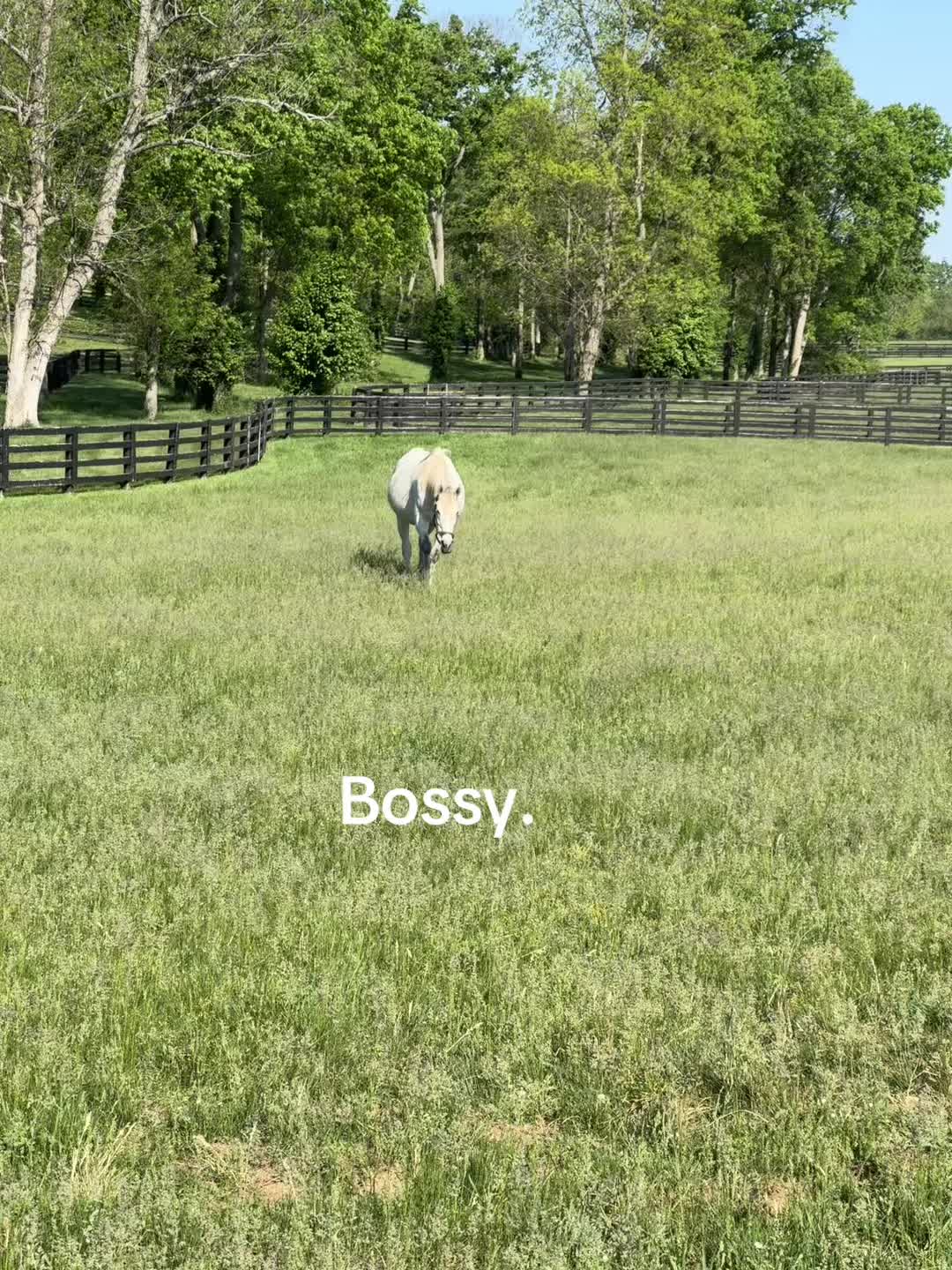 @MesingwFarm
