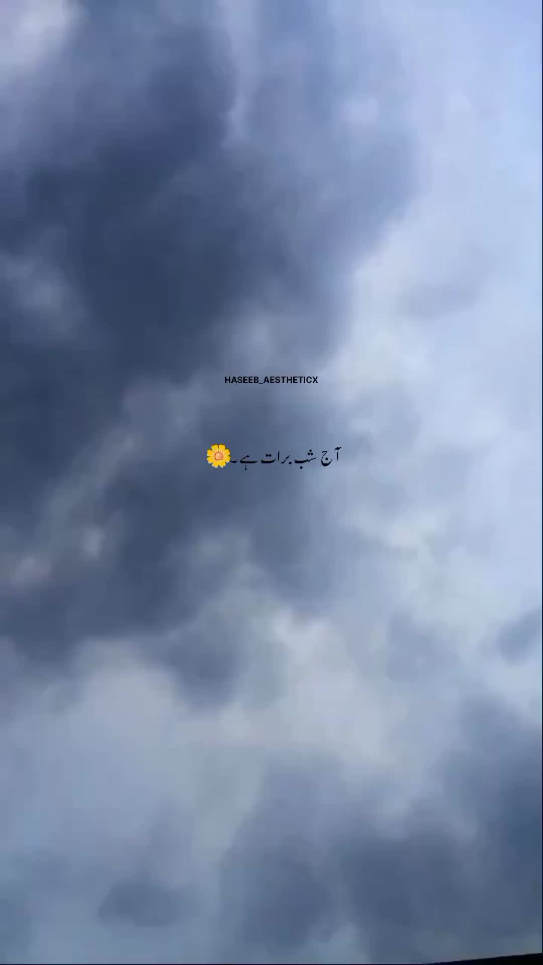 @AESTHETICX
