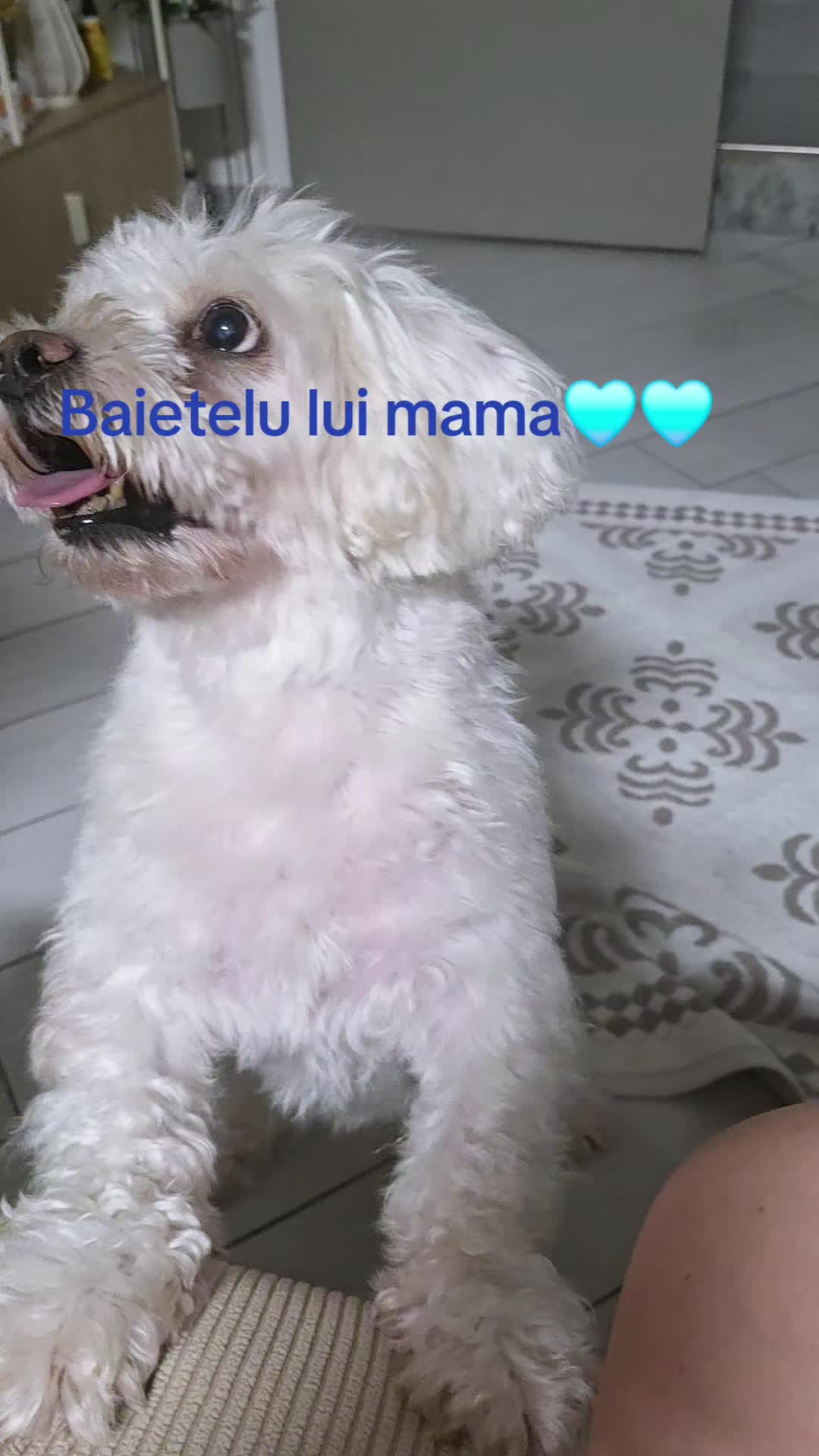 @Sidonia🦋🦋💗