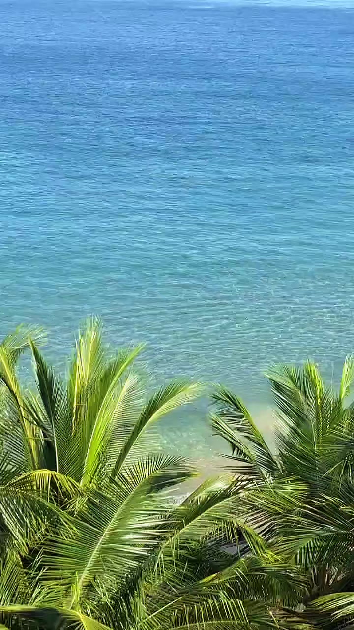 @Shivana💙🇹🇹