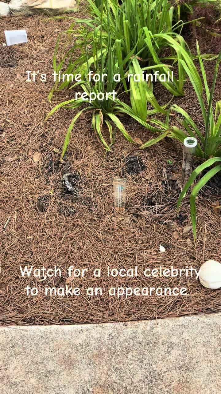@frontporchchatter