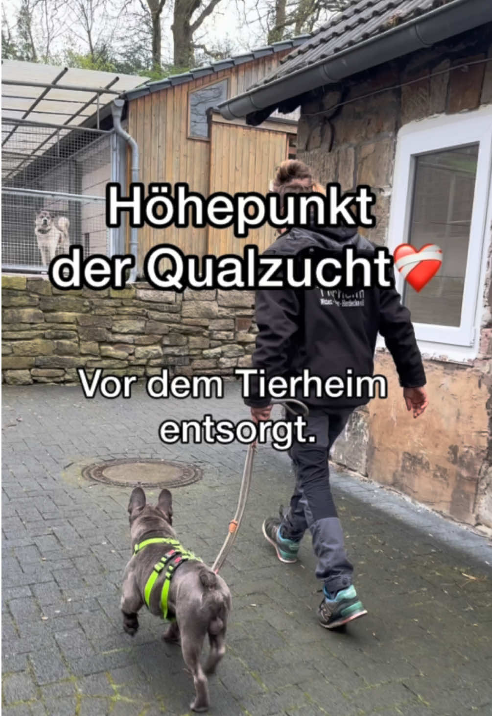 @Tierheim Witten e.V.