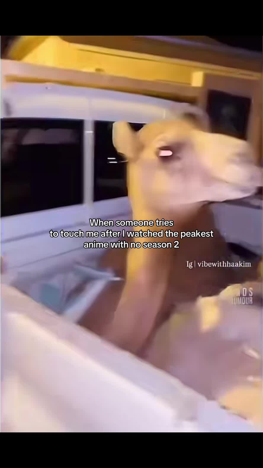 @Xx_Yamigetoverhere_xX