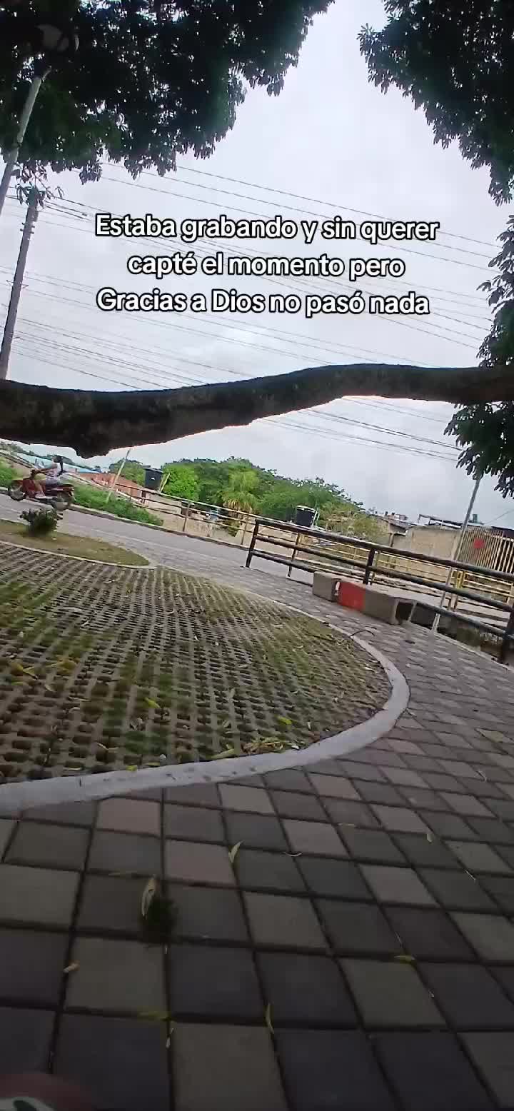 @Michael El Pri 😎
