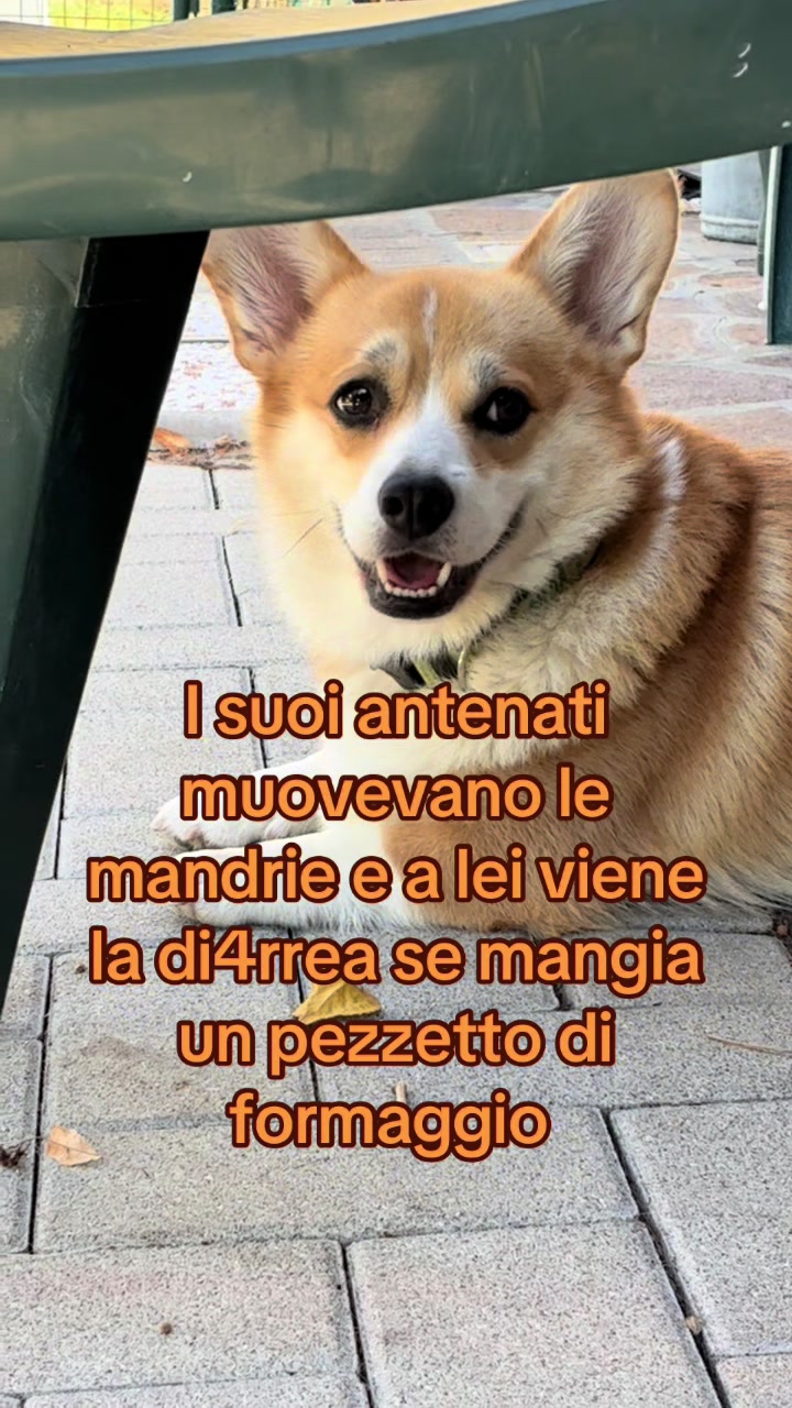 @Nadine Salomoni