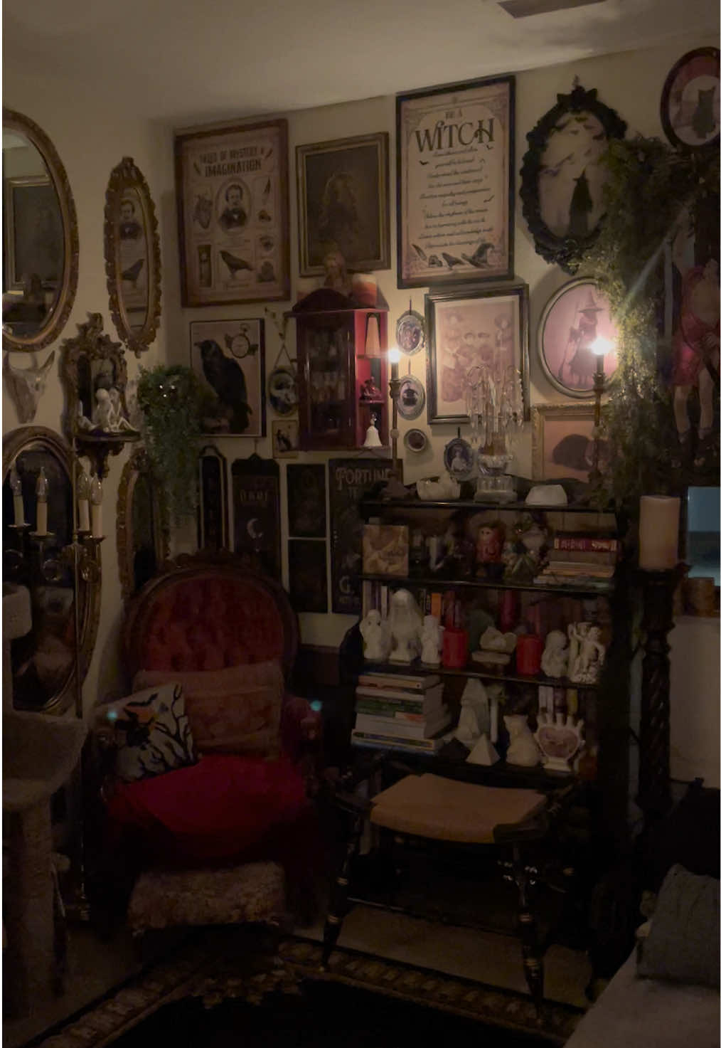 @Maximalist Maiteelacubana