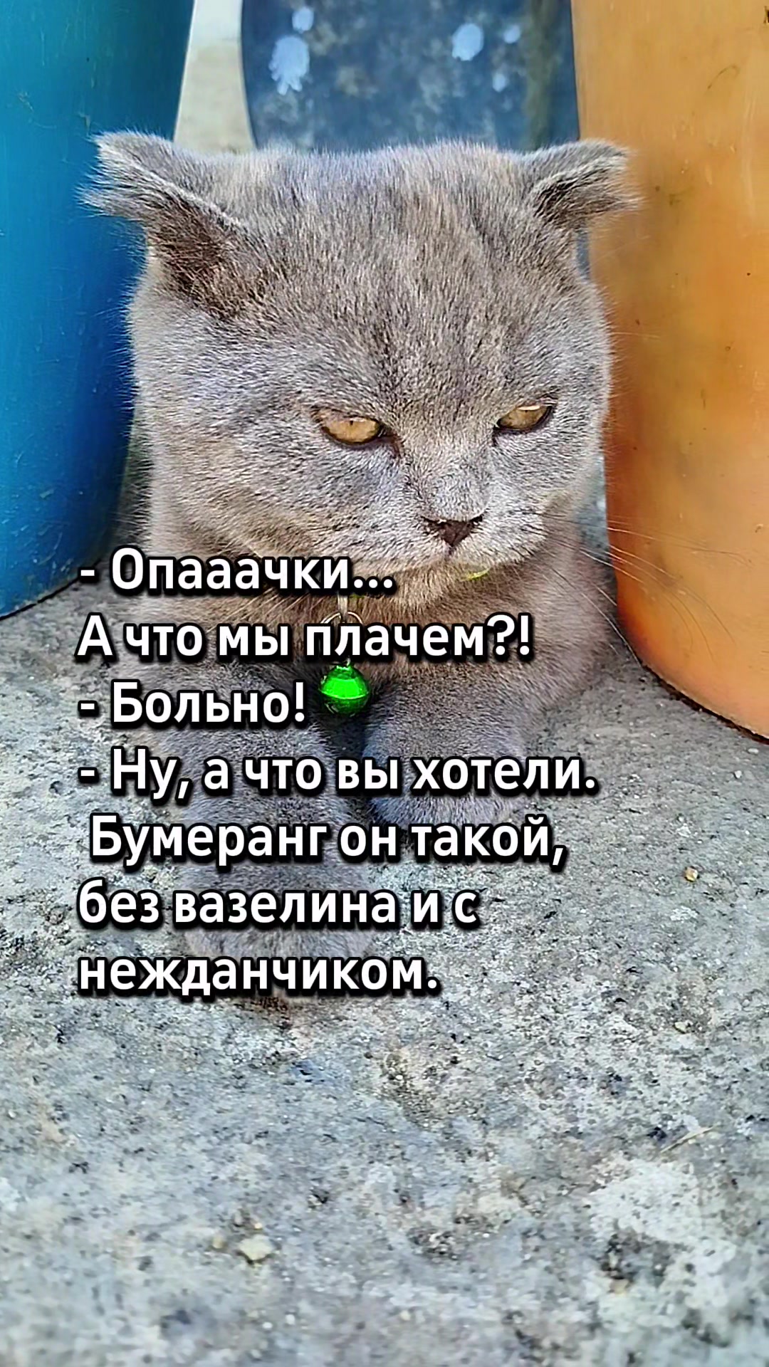 @😻Риччи&Джесси🐈Масик👼&Андрей