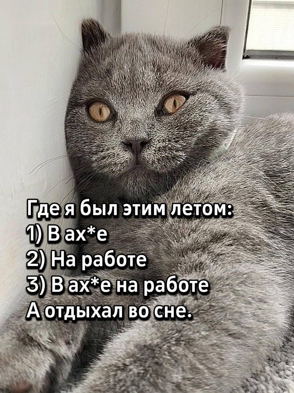 @😻Риччи&Джесси🐈Масик👼&Андрей