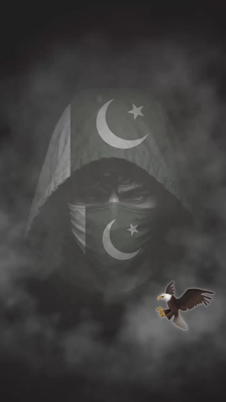 @🦅▄︻̷̿┻̿═━一𓃮