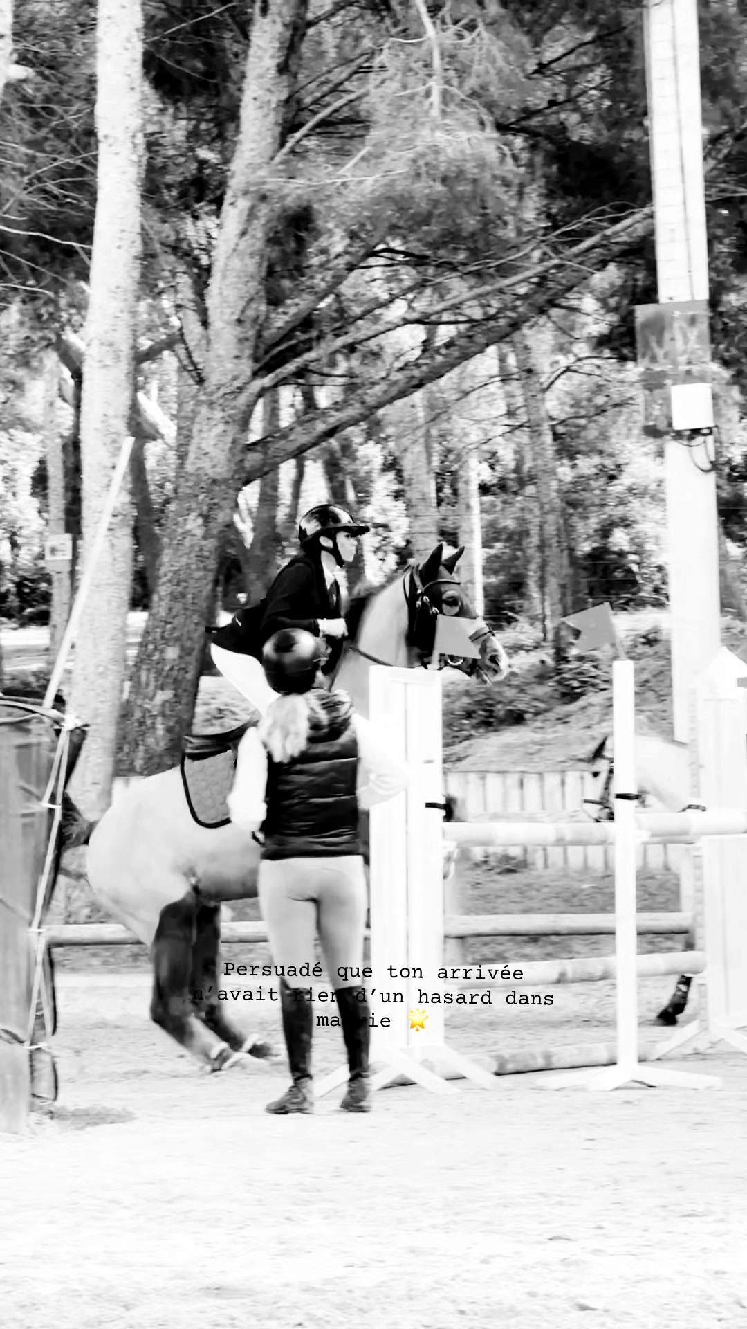 @Le&ensp;poney&ensp;qui&ensp;salut&ensp;les&ensp;jurys✨