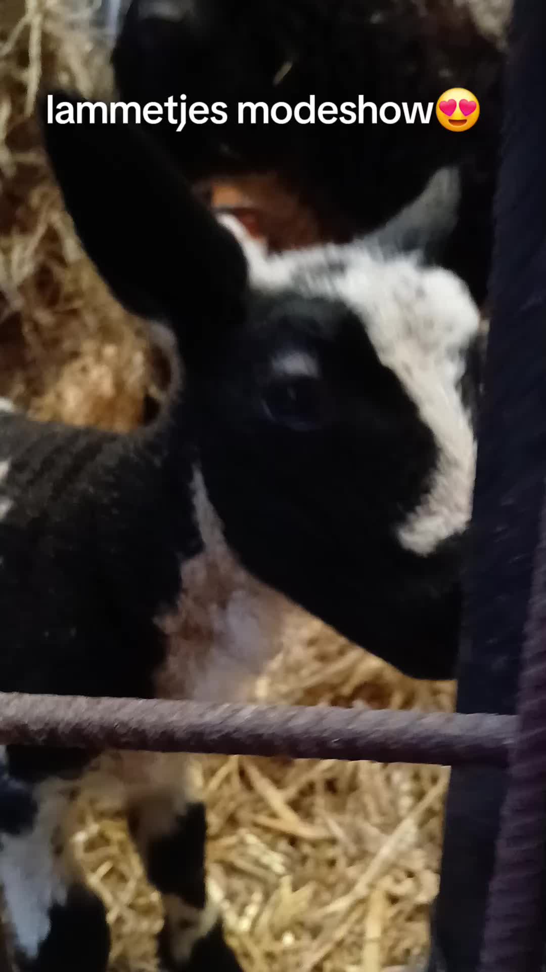 @Sjo's farmvideos