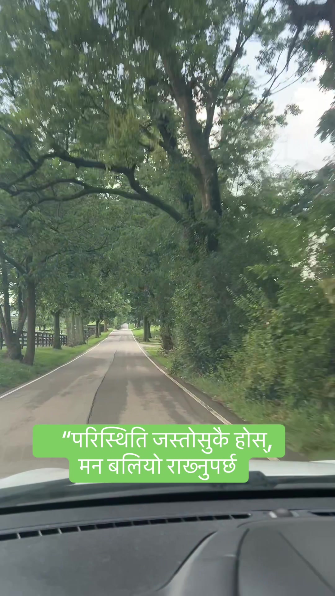 @Travel Diaries