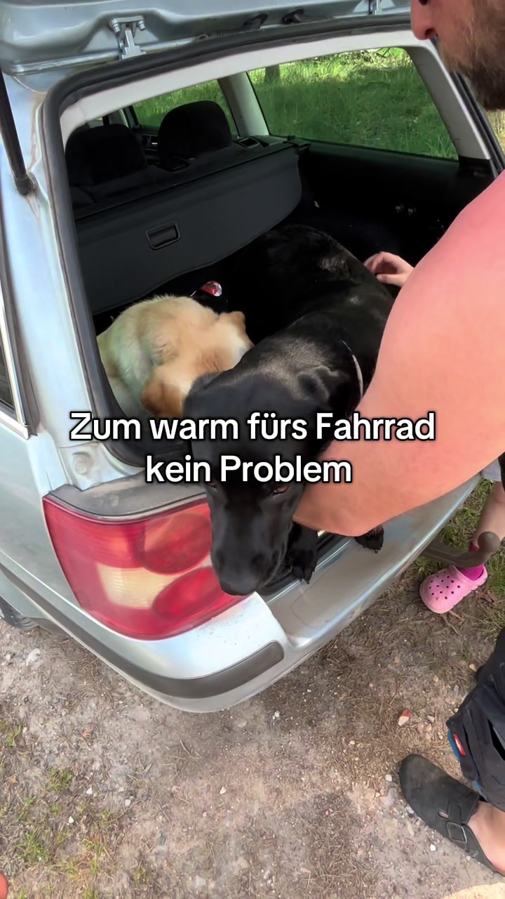 @einfach.nur.elly