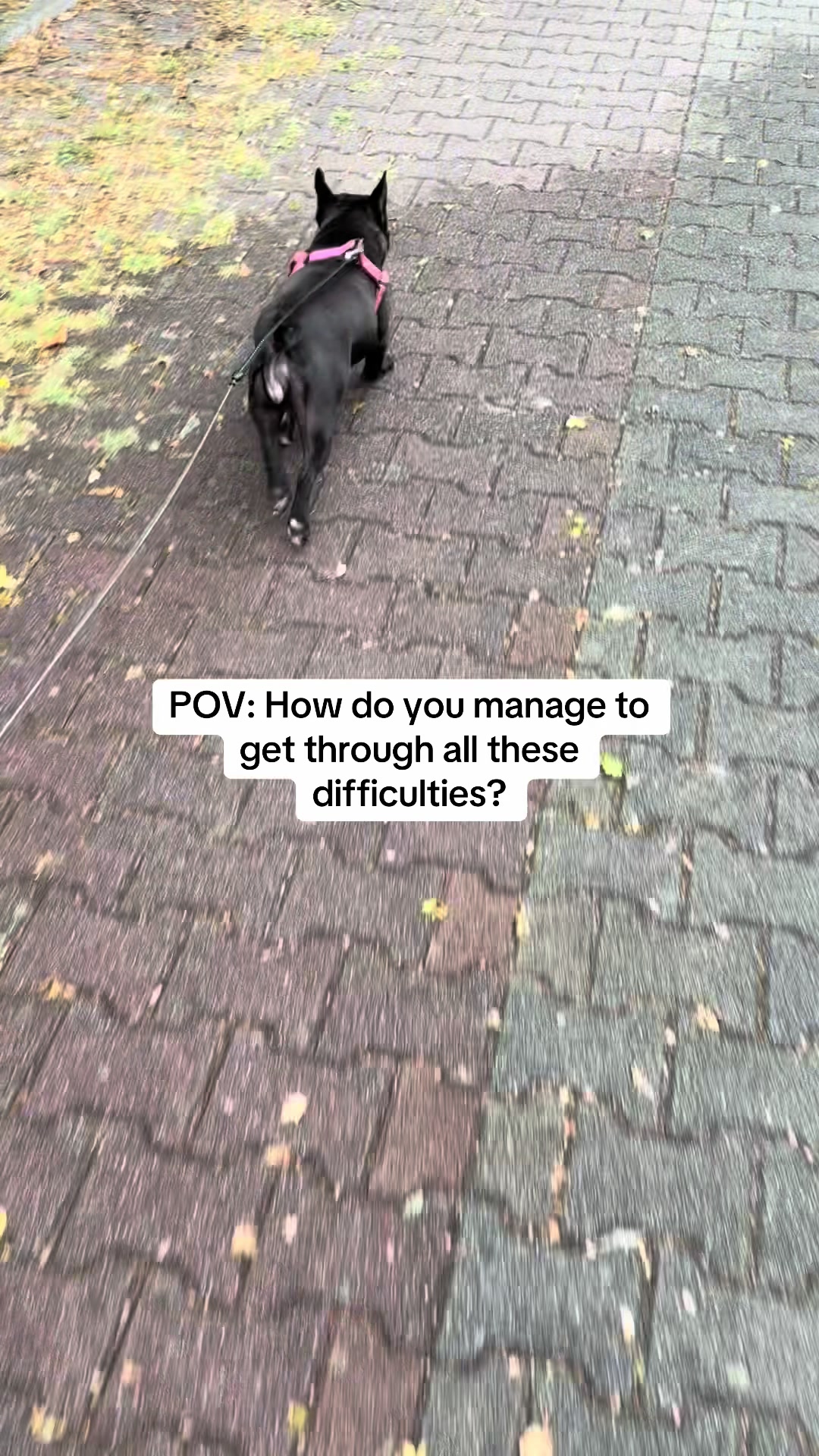 @𝙇𝙞𝙩𝙠𝙖