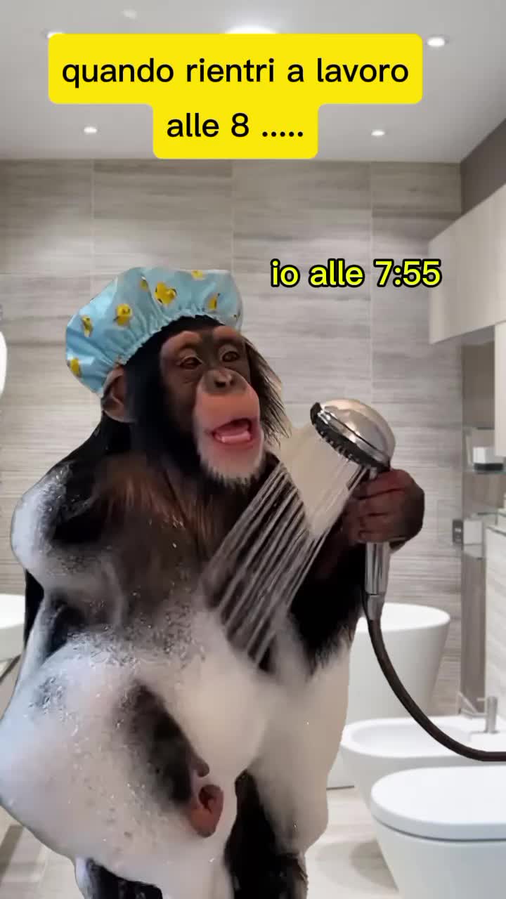 @SILVIA❤❤❤