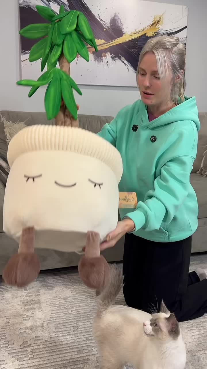 @Megan Rose