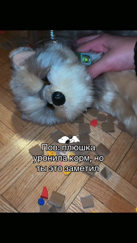 @🪐&raquo;𝔘𝔖𝔬𝔪𝔢𝔩_ESAS!⛓(Пдб)&laquo;👻