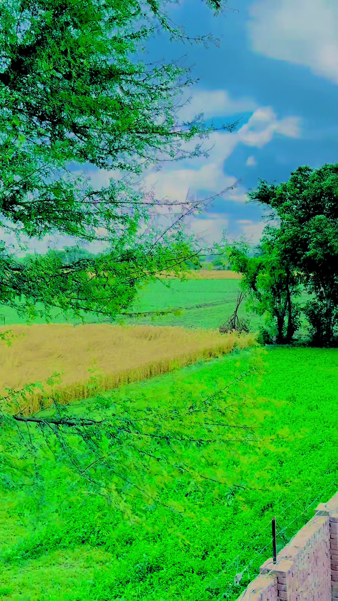 @Unique Cattle Farm