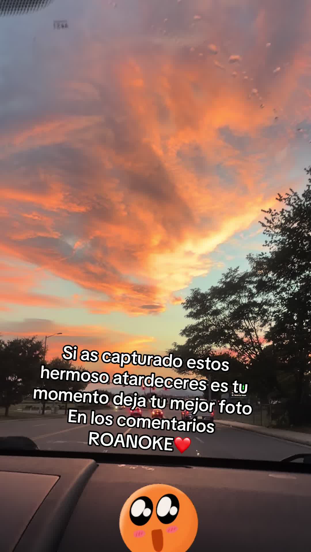@🌻🇭🇳 Dariela🇺🇲🦋