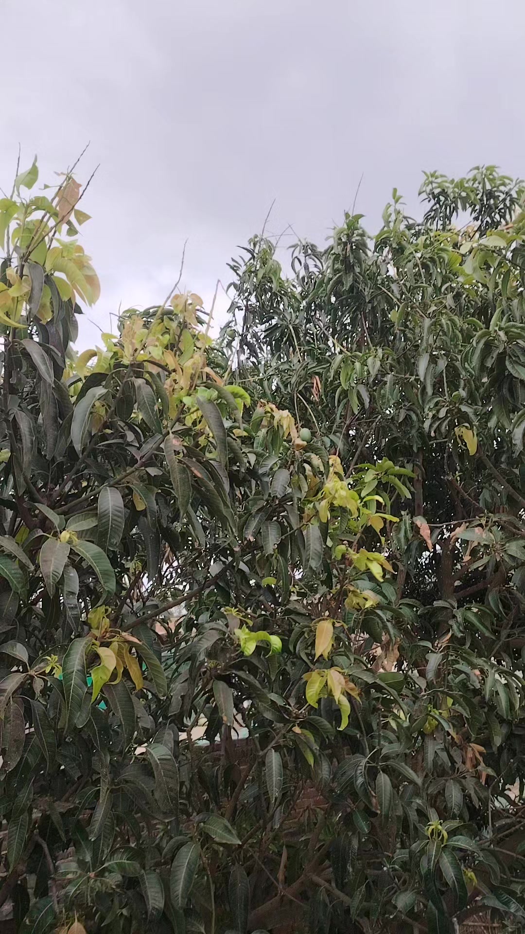 @Aaditya😈😈🤟🤟kumar💖💖122