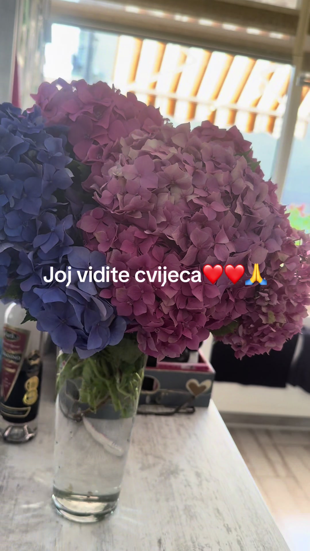 @sladjana.knezevic