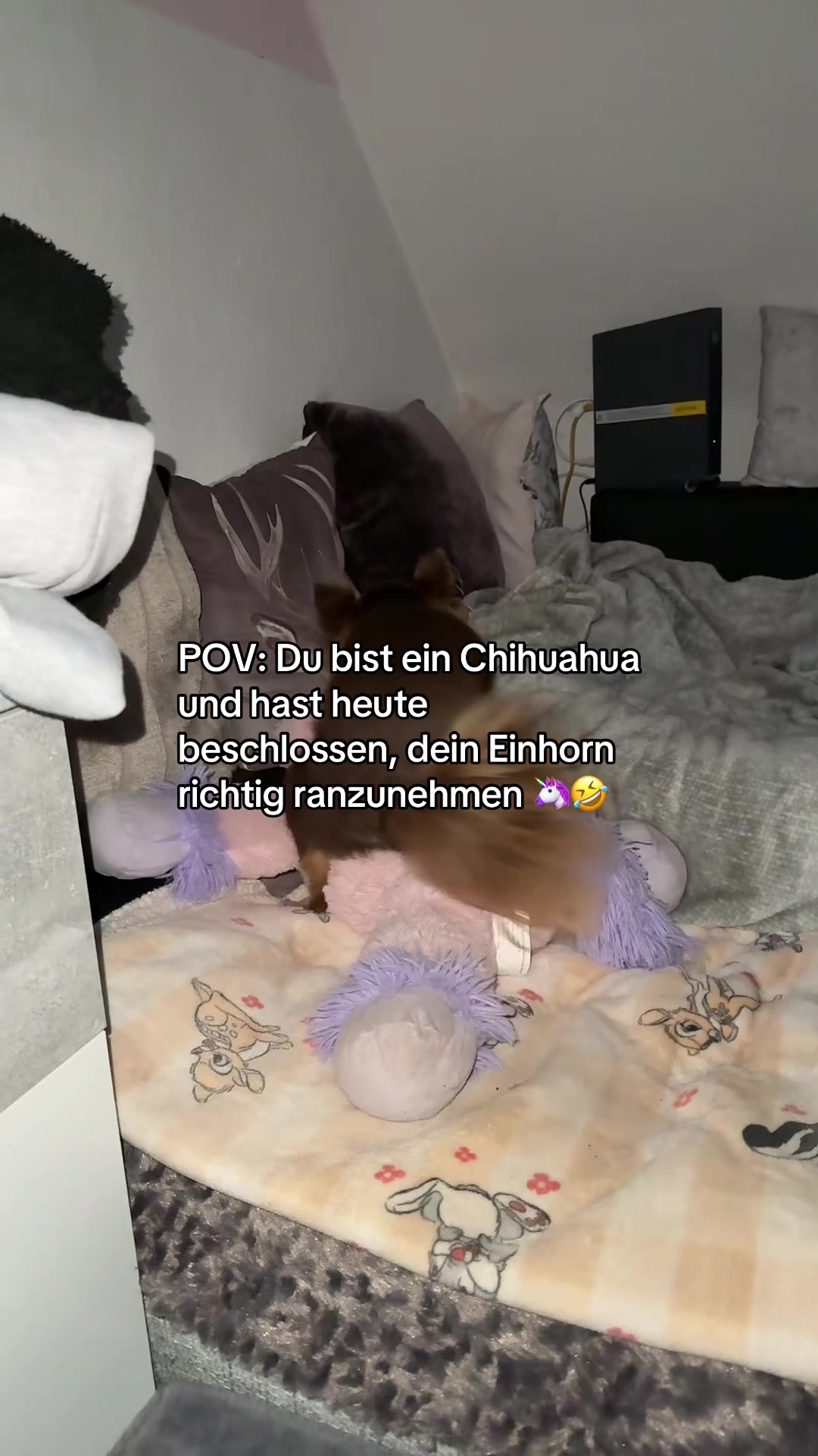 @Hɪᴍʙäʀᴄʜᴇɴ 🦅🇩🇪