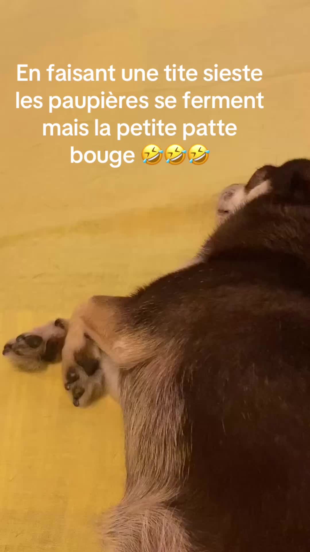 @Mariecandy54❤️