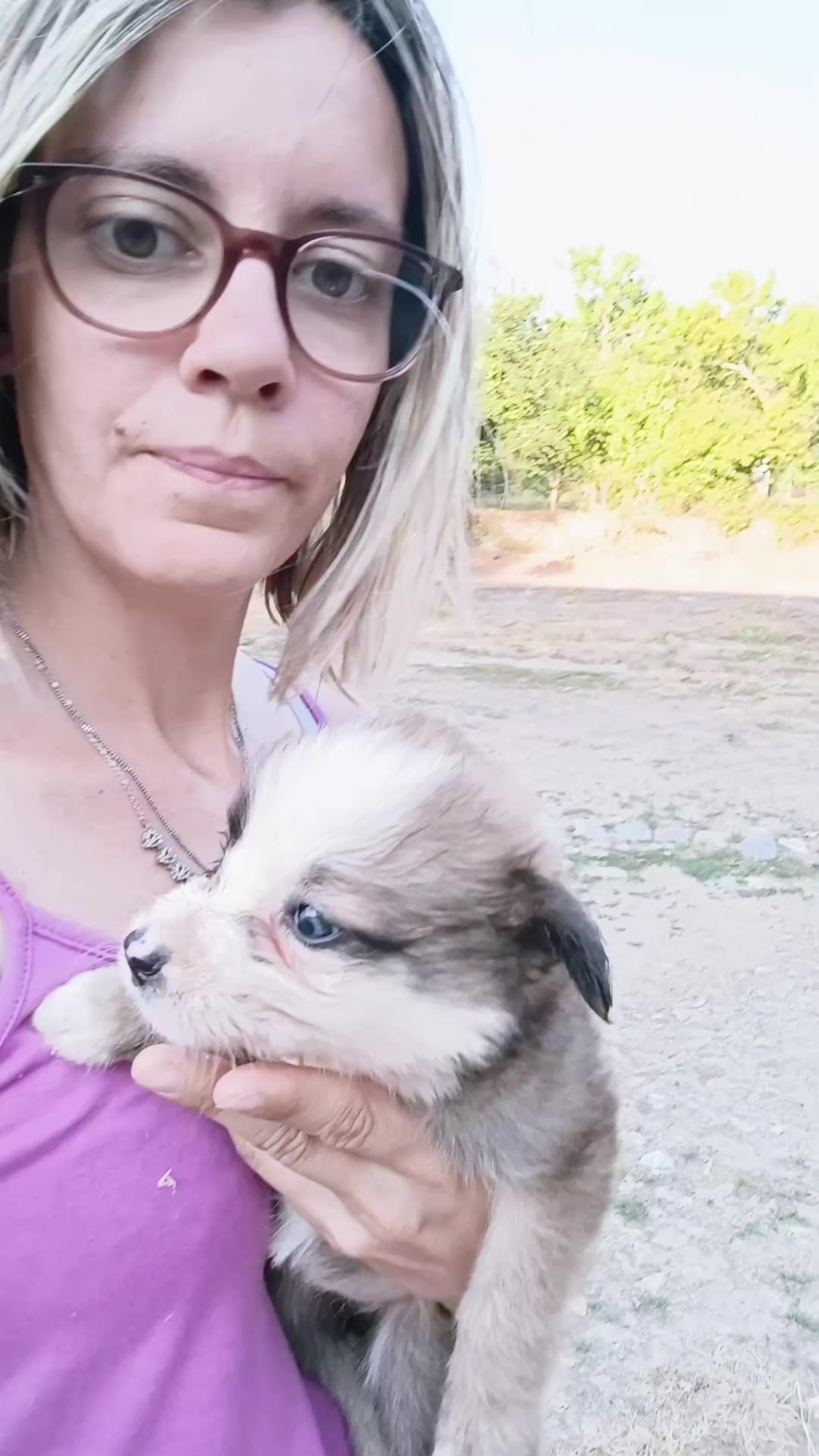@Ludivine 🪶🐶🐮