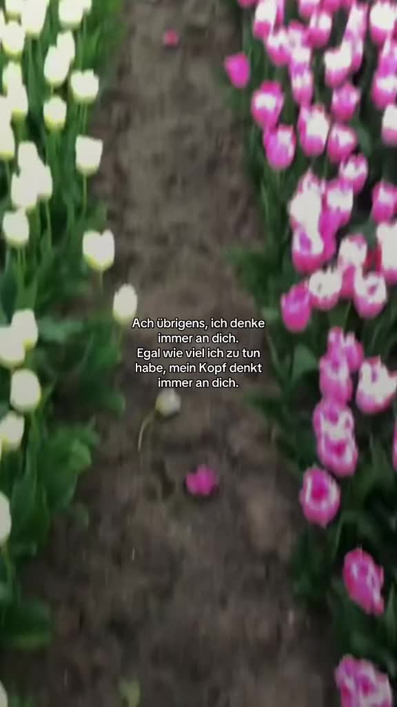 @safeplace.zxtate