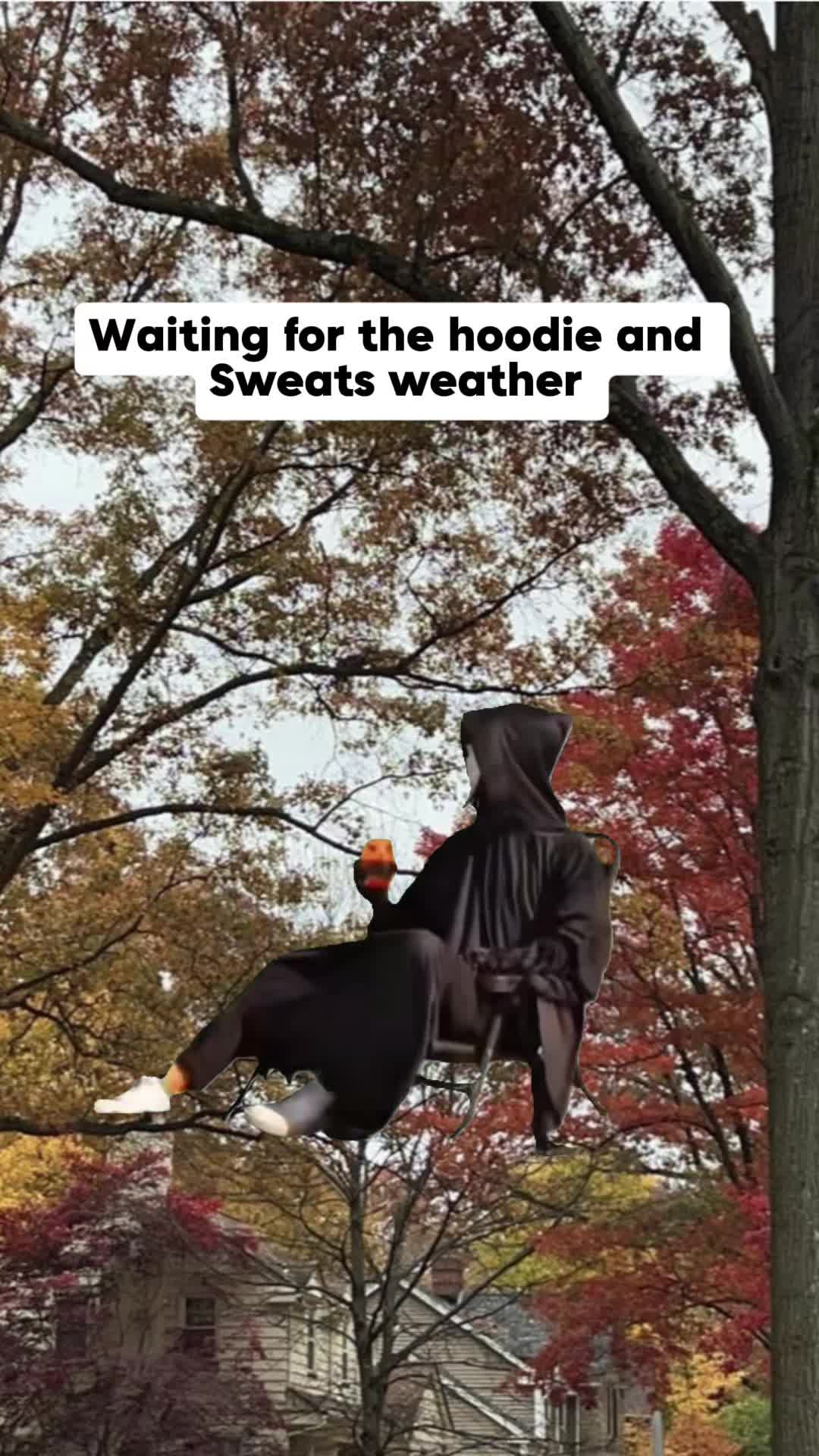 @🫶🏼𝕂𝕚𝕂𝕚🫶🏼