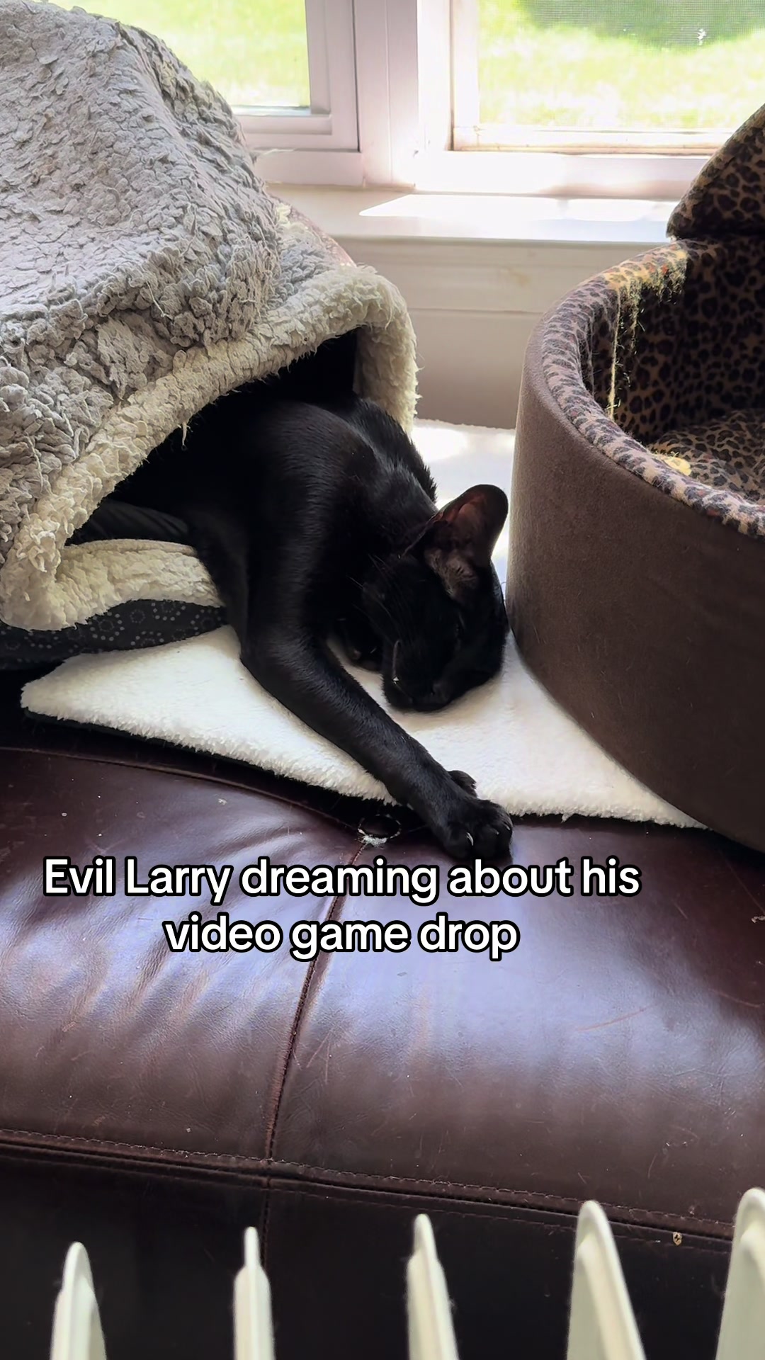 @hobbikats