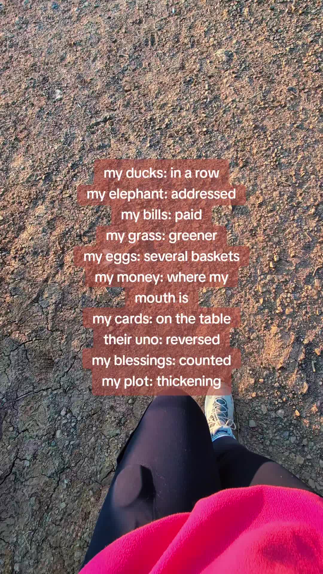 @🏕️Wandering Wildflower🏵️