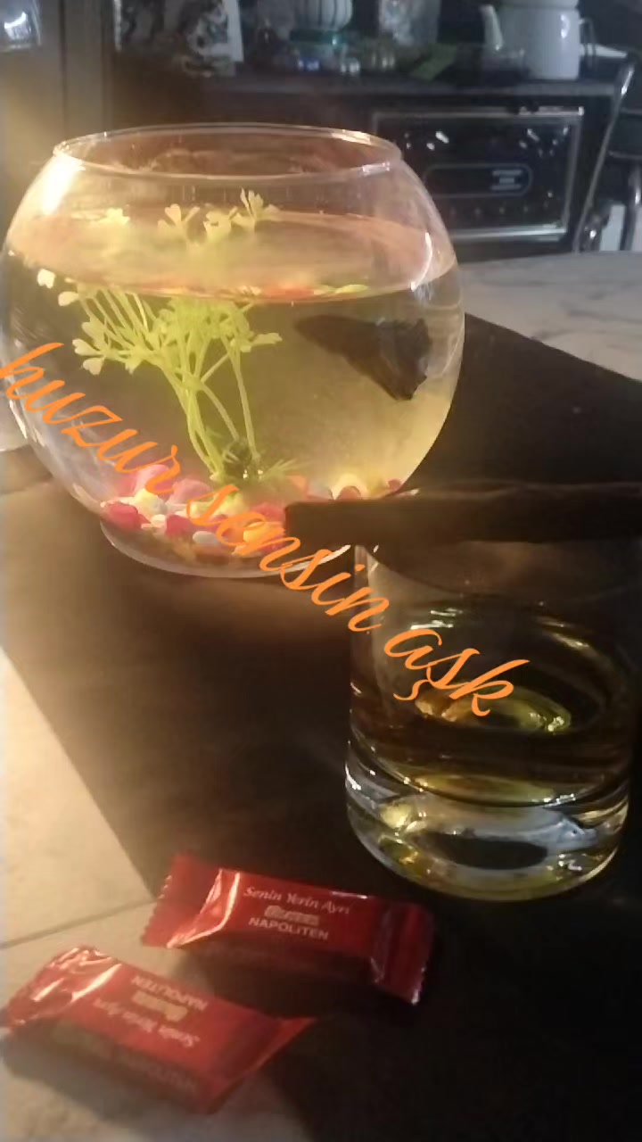 @𝘴ꫀ𝘳𝘬ꪖꪀ Şꪖꫝ𝓲ꪀ