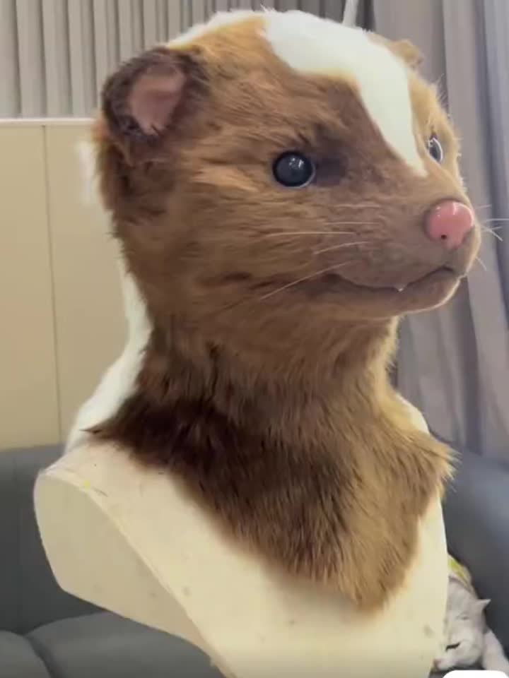 @RealFur