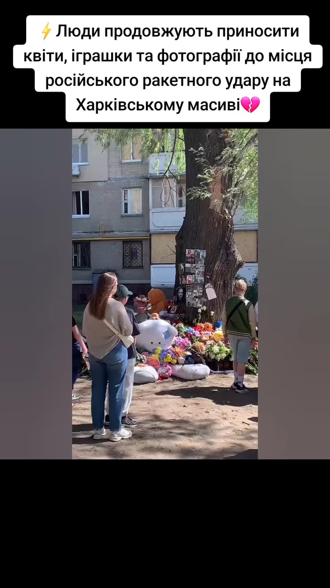 @Санич