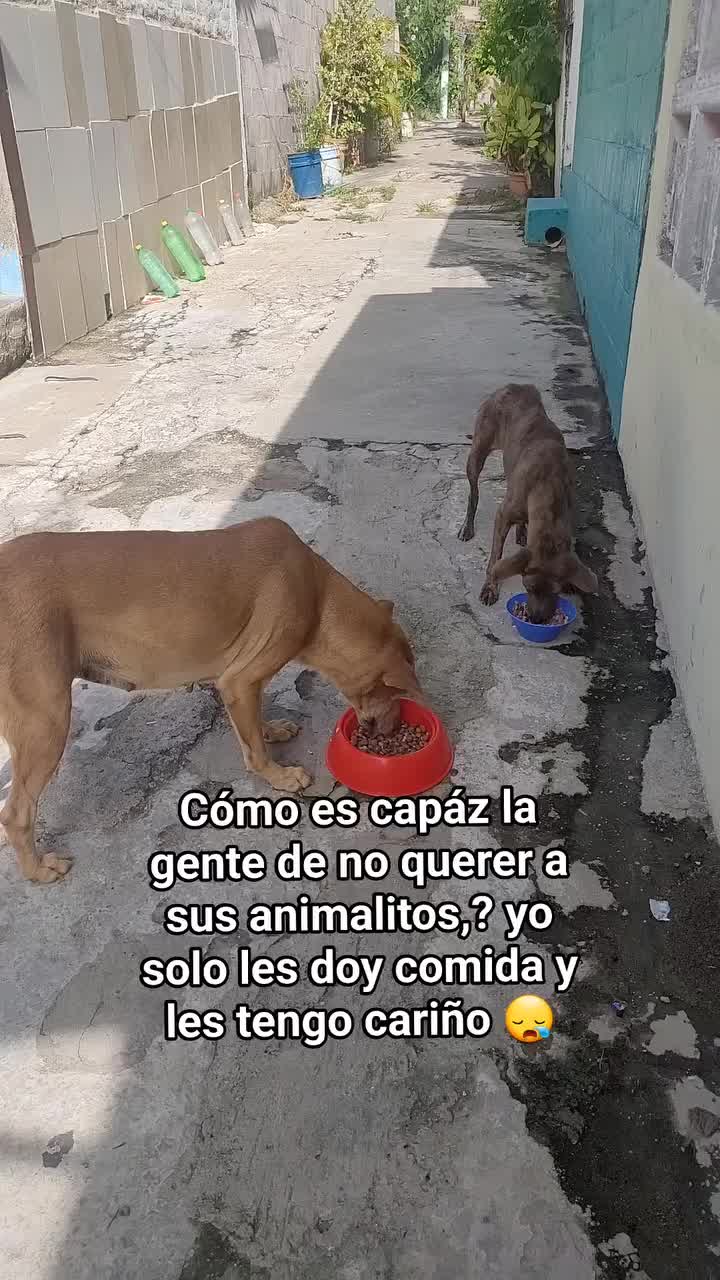 @𝕃𝕚𝕤𝕤 ℝ𝕖yes🇸🇻