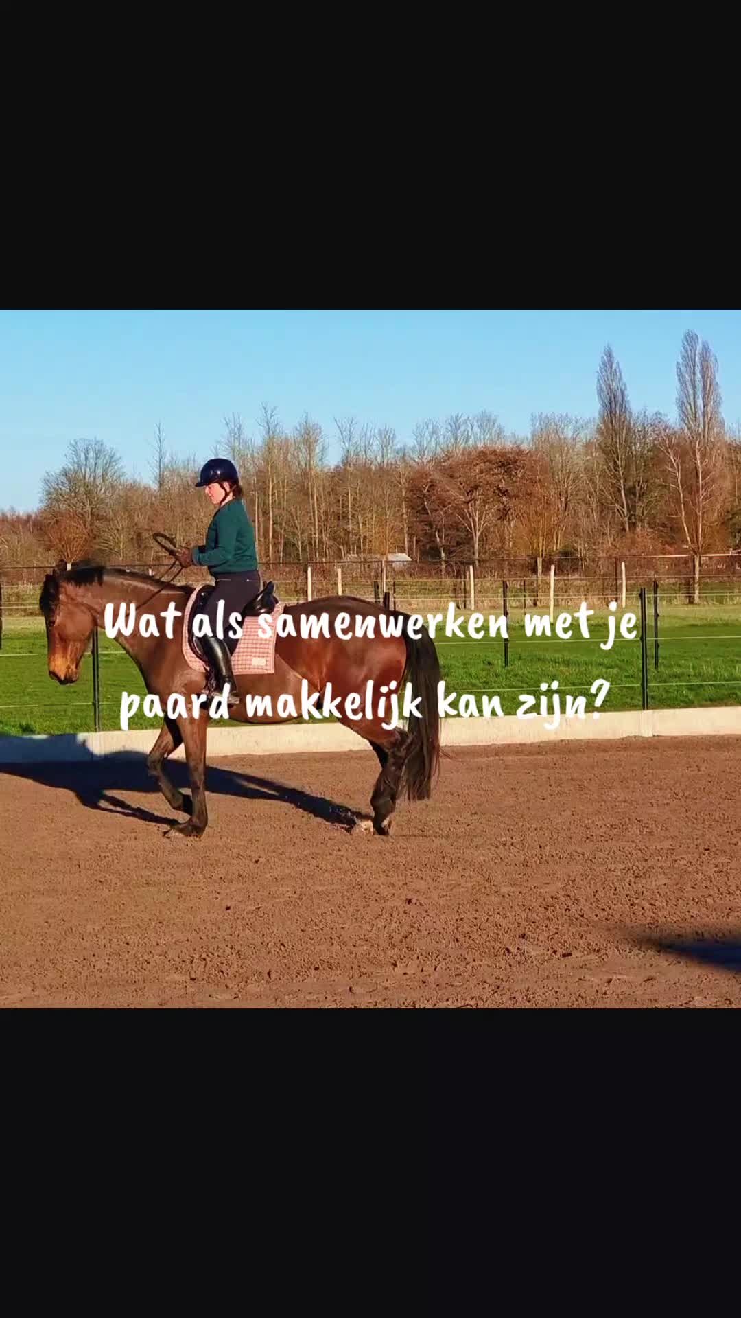@Jessie De Reydt