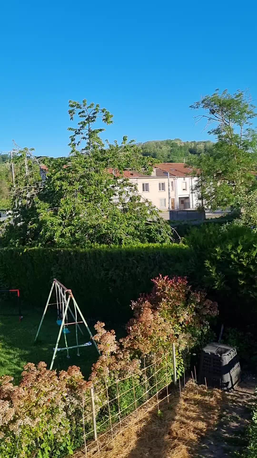 @Aleksi